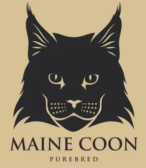 maine coon cats for sale